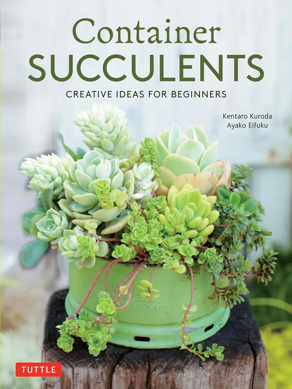 Container Succulents: Creative Ideas for Beginners Paperback  Illustrated, September 17, 2019
